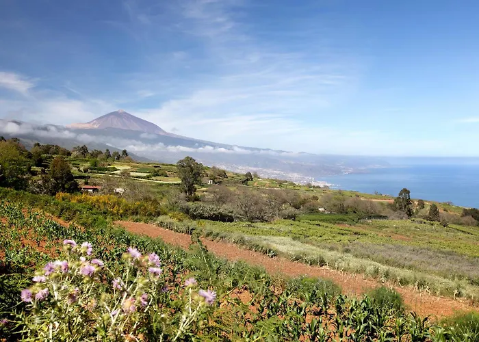 Diablitos 3c San Juan de la Rambla