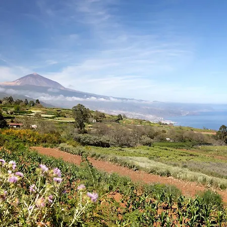 Diablitos 3c Сан-Хуан-де-ла-Рамбла